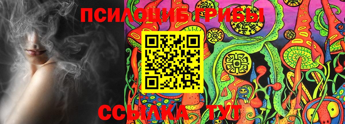 Псилоцибиновые грибы MAGIC MUSHROOMS  Вход с VPN  купить наркотики цена  Заводоуковск 